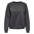 ONLY - SWEATSHIRT - DAZE 15325979 - MAGNET
