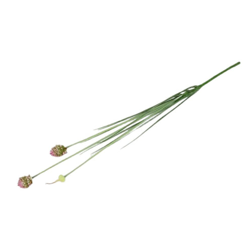 BARBARA - KUNSTIG BLOMST - ALLIUM DE804456 - ROSA/GRØN