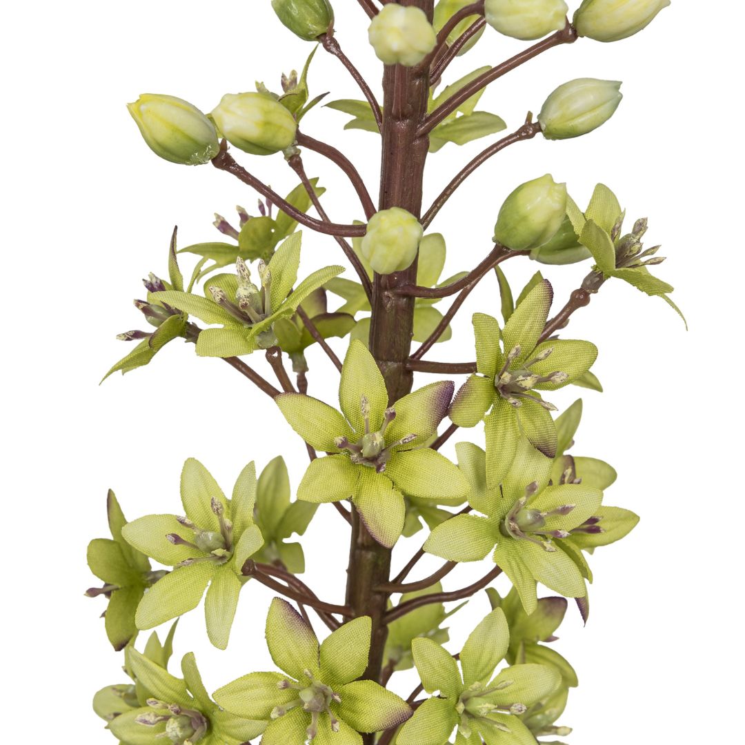 BARBARA - KUNSTIG BLOMST - EREMURUS GA1225003-51 - LIME