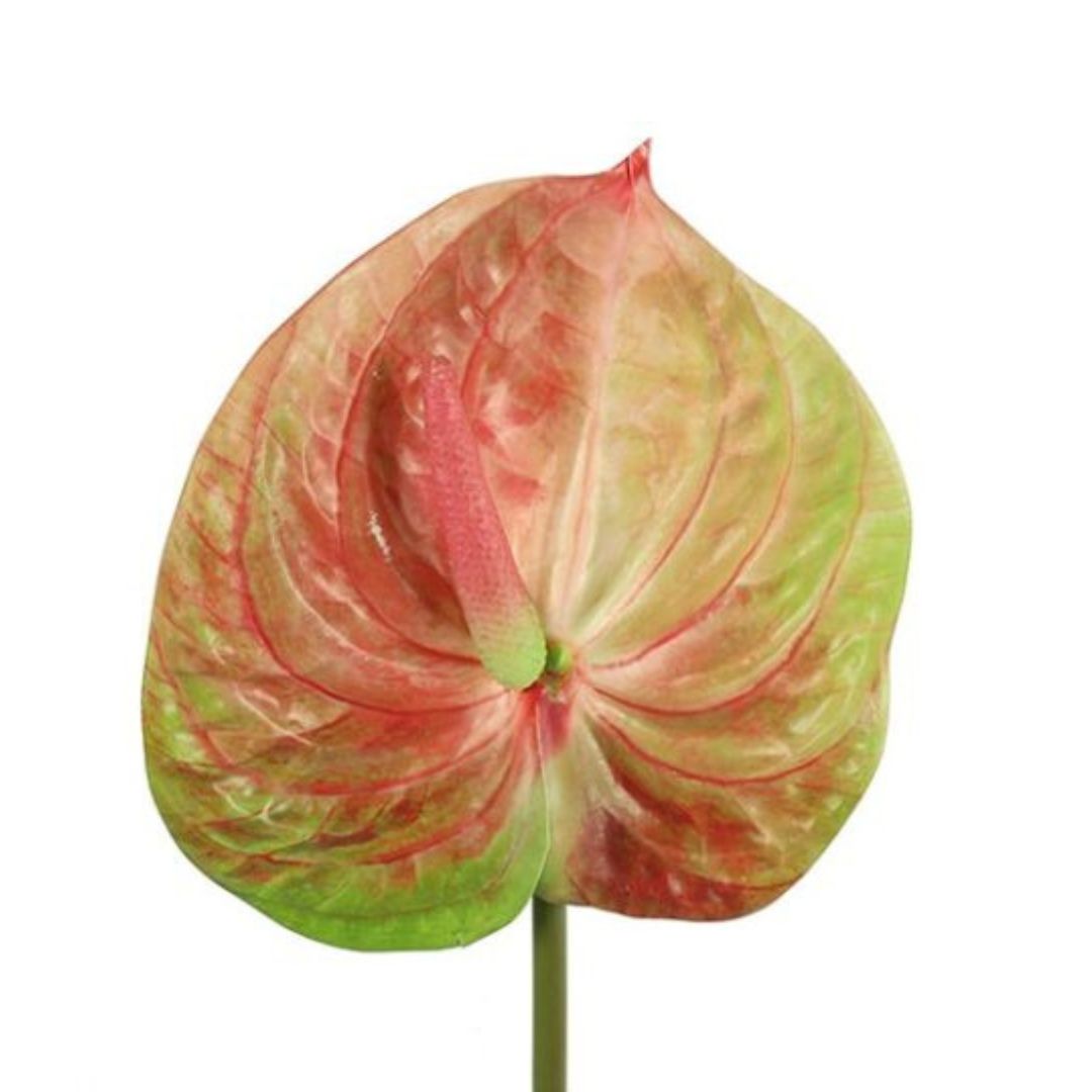 BARBARA - KUNSTIG BLOMST - ANTHURIUM DE783612 - MULTIFARVET